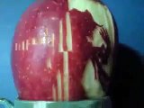 Touhou - Bad Apple!! (PV) with Real Apples