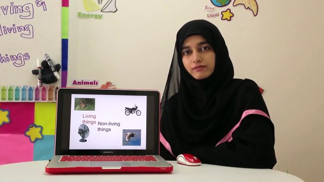 Living Things and Non-living Things - Grade 1 2 3 Science Videos for Children