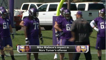 Mike Wallace showing great progress in Vikings minicamp