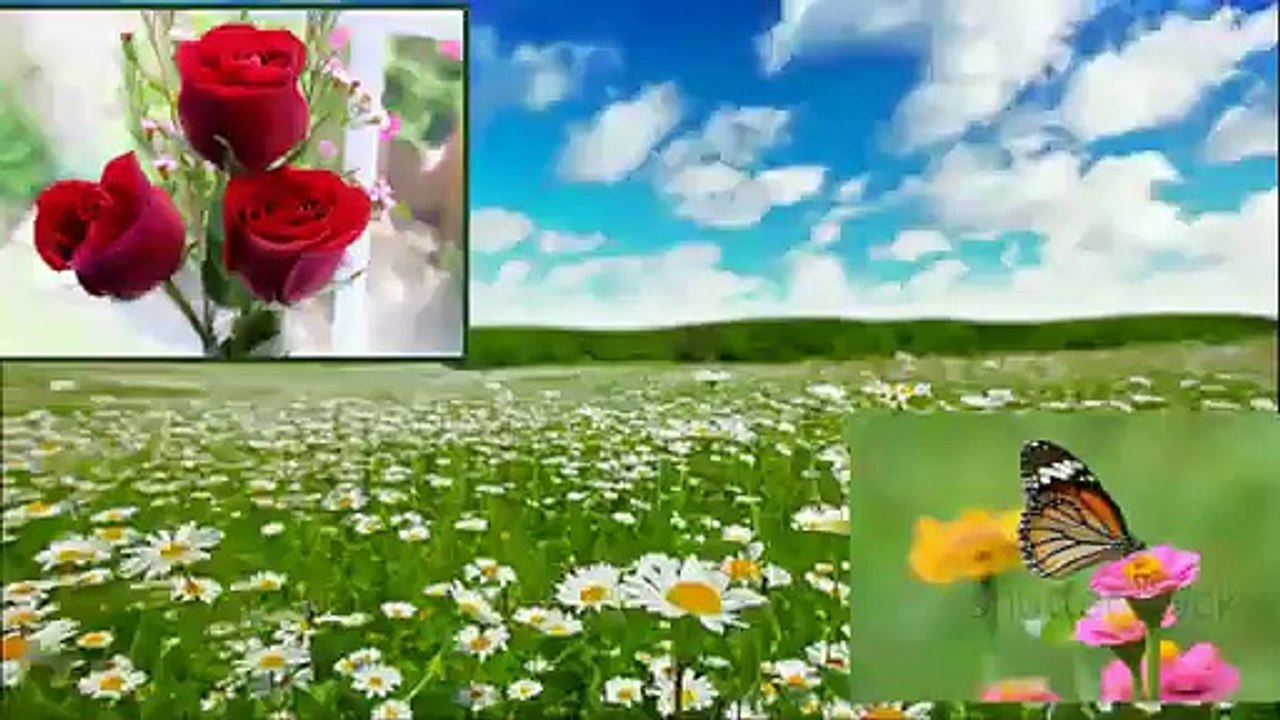 LAB PE ATI HAI DUA Tribute to IMRAN KHAN ( PTI Songs ) - Video Dailymotion
