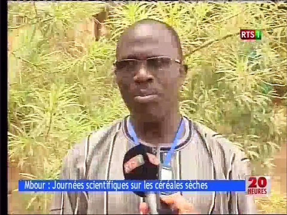 Mbour : journées scientifiques sur les céréales séches