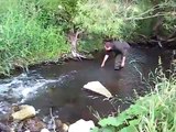 Richtig Fischen in der Eifel (fishing with bare hands)