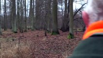 Wild boar driven hunt in Poland - shots - Chasse au sanglier - Drückjagd - polowanie zbiorowe