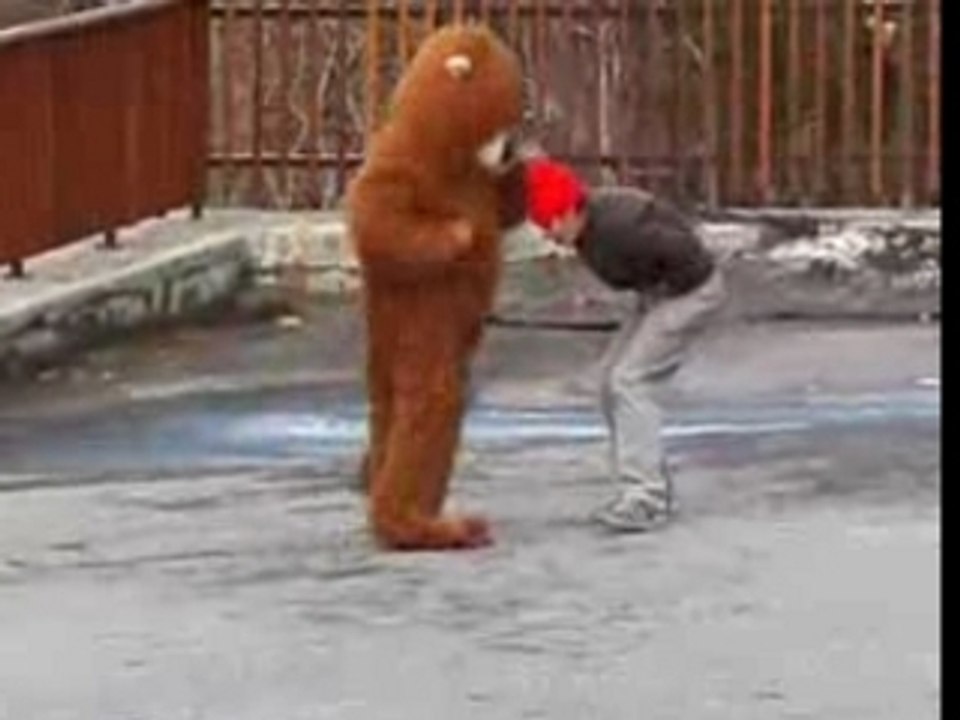 SE 2002 Chewbaca forfaits