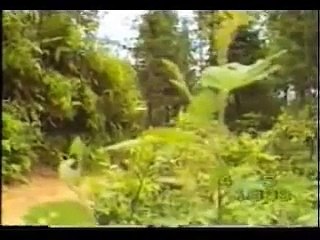 中国人民解放军第14侦察大队越战捕俘纪实（节选版）14 Reconnaissance Battalion of the PLA captured the Vietnam War record catch (excerpt)