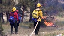 Firefighters and neighbors put out fire and save Shepherd home