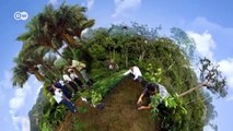 Mit Bäumen aus dem Klimawandel Gewinn schlagen | Global Ideas