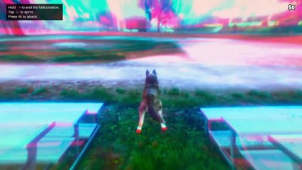 GTA V How to be a Dog/Pig/Cat/Deer/Elk/Boar