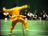 Tribute to Shaolin Monks