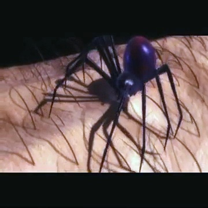 spider-man 4 (2010)