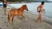 Skyrian horse takes a swim in the sea.. then escapes handler