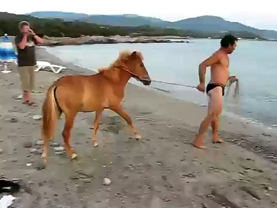 Skyrian horse takes a swim in the sea.. then escapes handler