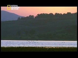 الحياة البرية على ضفاف نهر الاردن