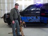 Force 911 Discusses Police Canines and K9 Transport Systems.mp4
