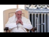 El papa Francisco presenta su encíclica sobre el cambio climático