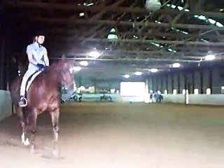 paige's worst horse lesson ever