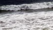 Whale Sighting Limatour Beach Point Reyes 5/10/2015