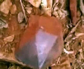 Garimpo de cristais em Curaçá-BA