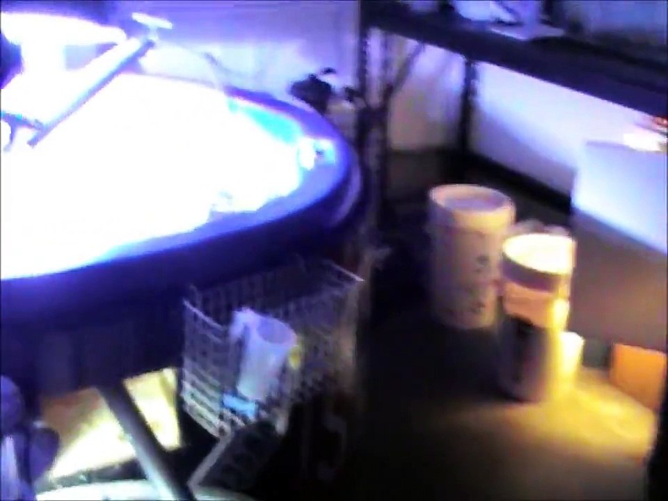 GFO/Carbon reactor (2 weeks later)