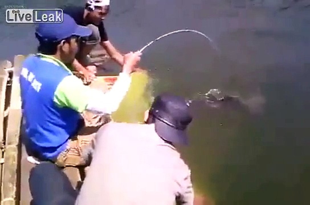 catfish fishing in the river