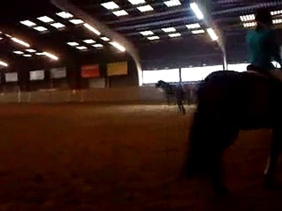 Sylvano longieren