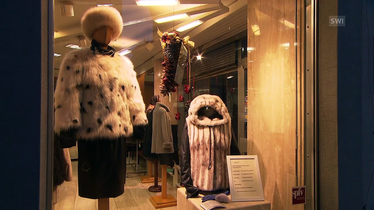 Comércio de peles - Como as martas vivem nas fazendas de peles dinamarquesas