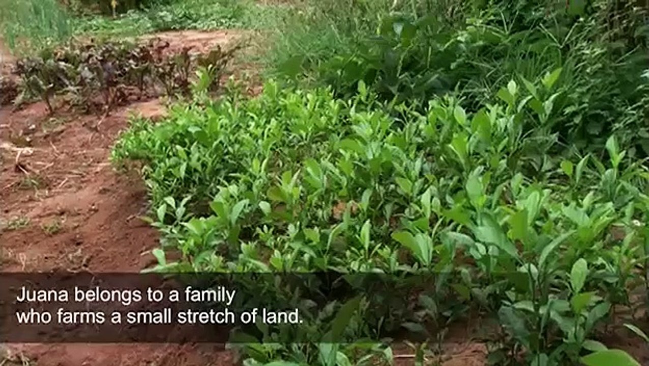 Rural development in Paraguay