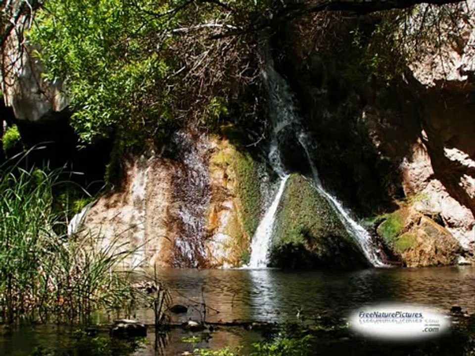 I Sing the Mighty Power of God