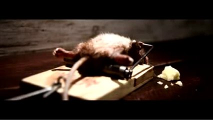 El Raton y El Queso ¡¡¡¡¡ El Final Es Bueno!!!!