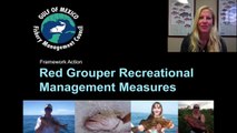 Recreational Red Grouper Framework Public Hearing