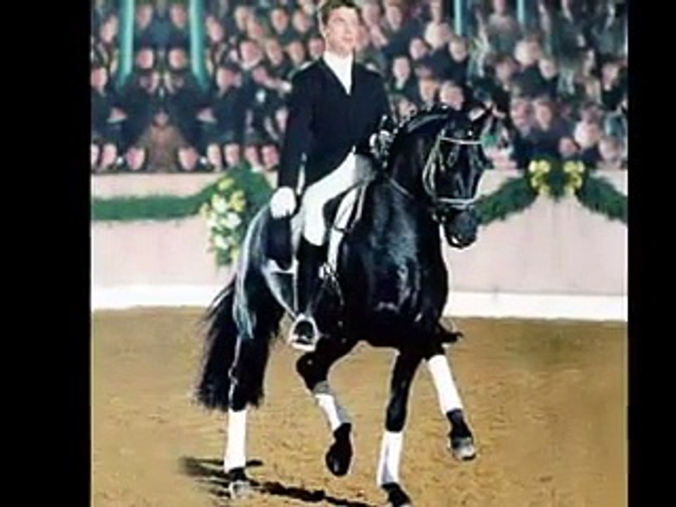 L'équitation plus qu'un sport une passion ...