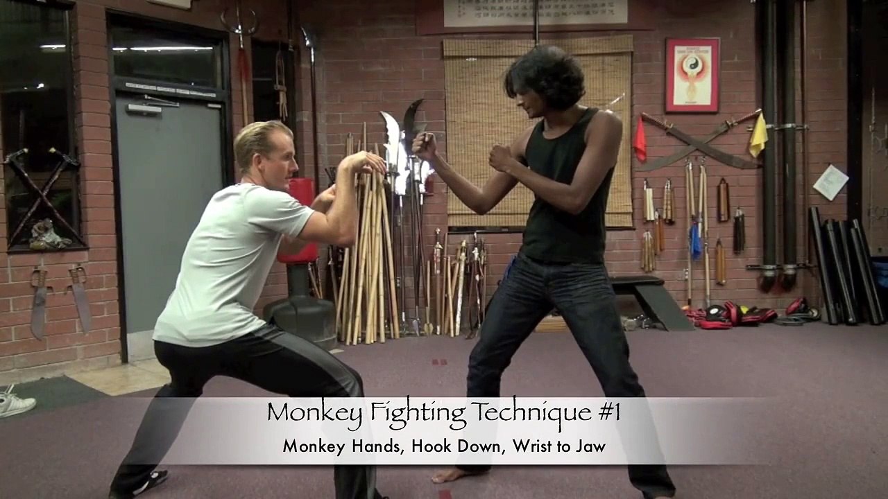 Monkey Kung Fu - 10 Real Fighting Moves