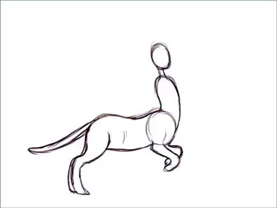 Run cycle test animation (cat... centaur?) - video Dailymotion