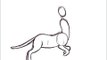 Run cycle test animation (cat... centaur?)