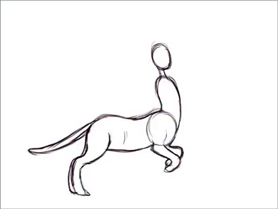 Run cycle test animation (cat... centaur?)