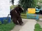 Russian Guy in Bear Suit Fail WTF Death Metal XD!!! Funny as Hell