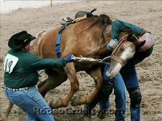 Nasty Calls from Rodeo Extremists 6 (foul language)