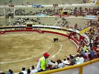 Bullfights in Mexico
