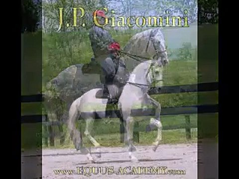 JP Zica 3 Year Old Half Lusitano - Half Holsteiner, Classically Trained Mare FOR SALE