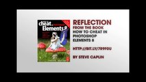 Create Apple Style Reflections in Photoshop Elements 8 Tutorial