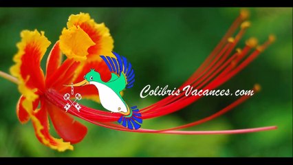 colibris-vacances-clos-source-535
