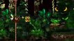Donkey Kong Country - Forest Frenzy