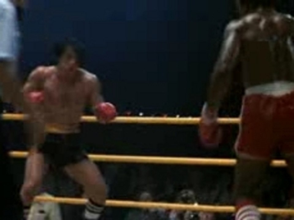 Rocky2 fin