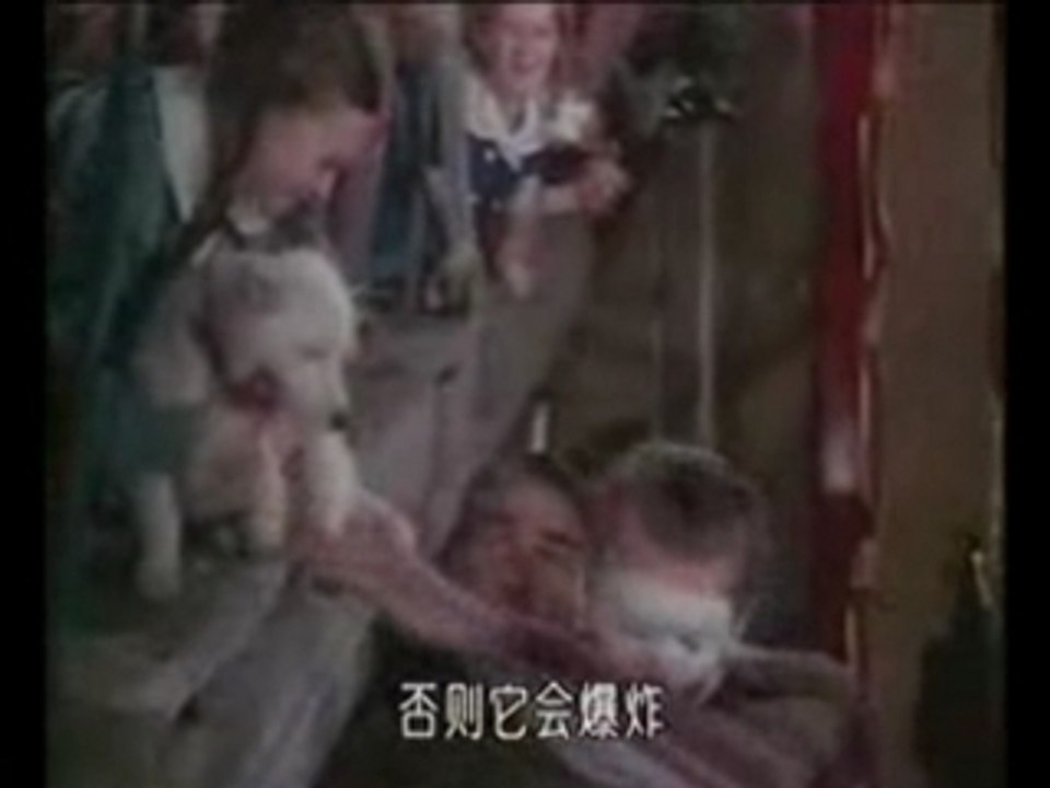 Mozinor chez FaxVideo