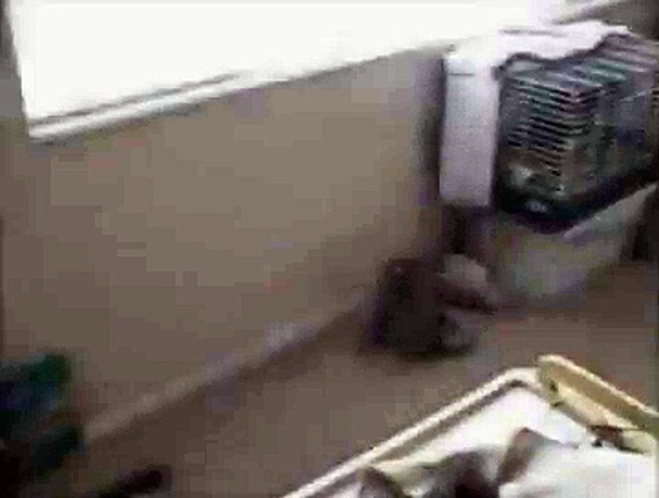 KEÇİÖREN ETNA KOMBİ SERV.0312-279-15-16