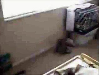 KEÇİÖREN ETNA KOMBİ SERV.0312-279-15-16