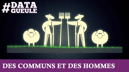 Des communs et des hommes #DATAGUEULE 42