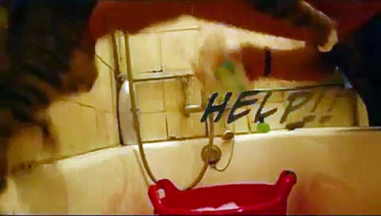 How to bathe a cat (or not) !
