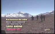 Cacharpaya del Indio (Savia Andina)
