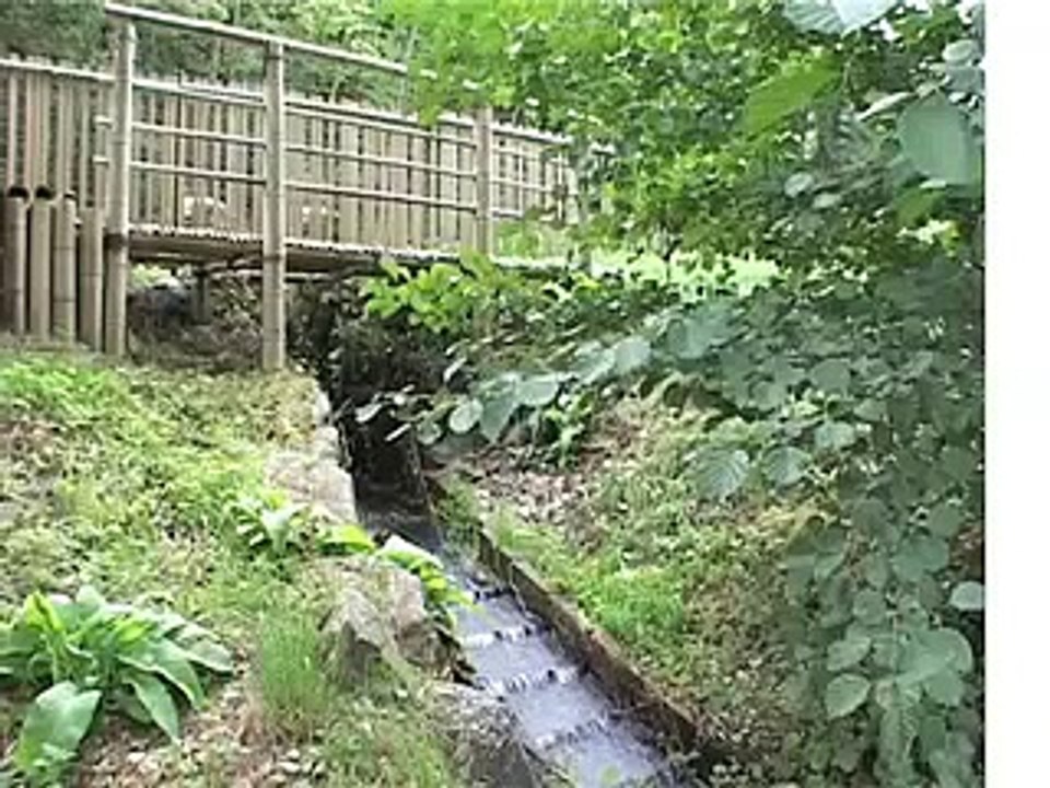 Aikido André Cognard Shihan 8th Dan